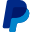 PayPal Icon